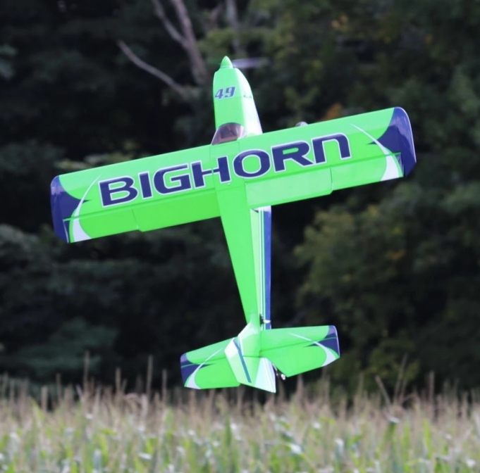 Bighorn Pro 1250mm Vert OMPHOBBY Voltige